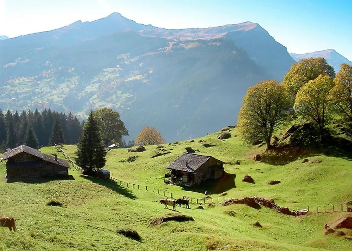 Lejlighed Abendrot Apartments-11 By Interhome